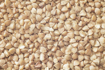 Buckwheat closeup background