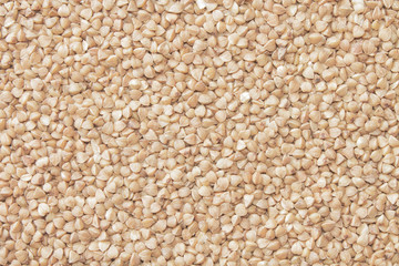 Buckwheat background