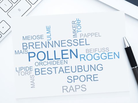 Pollen