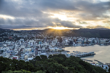 wellington