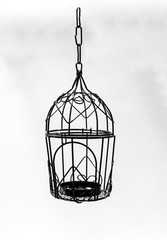 Vintage bird cage hanging lantern