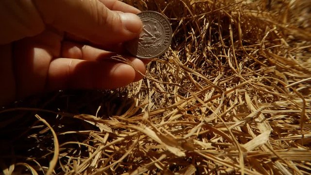Hand Turns Reverse and Obverse of Old Imperial and Soviet Silver Coins on Background Hay Close up