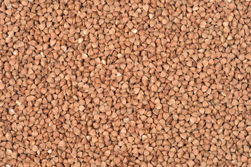 buckwheat
