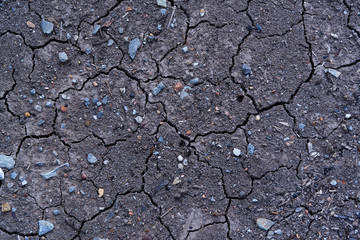 Dry land or dry soil. Cracked ground background.