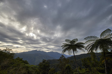 Fototapeta na wymiar Palms in a cloudy sky
