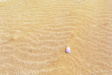Sand texture top view