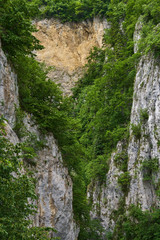 Deep canyon with forests