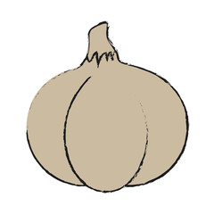 Spicy garlic vegetable illustration icon vector design graphic