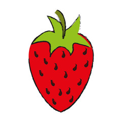 Strawberry sweet fruit illustration vector icon design graphic draw
