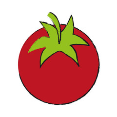 Refreshing vegetable tomato icon vector illustration design graphic draw