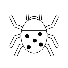 Wonderful ladybug insect illustration icon vector design graphic silhouette 