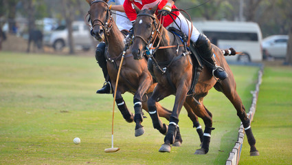 Horse Polo Player battle