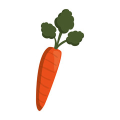 carrot vegetable icon over white background vector illustration