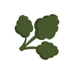 broccoli vegetable icon over white background vector illustration