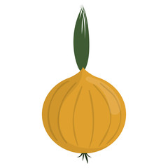 onion vegetable icon over white background vector illustration