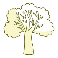 tree plant isolated icon vector illustration design