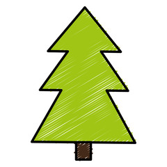 pine tree plant isolated icon vector illustration design