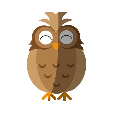 happy cute  owl icon image vector illustration design 