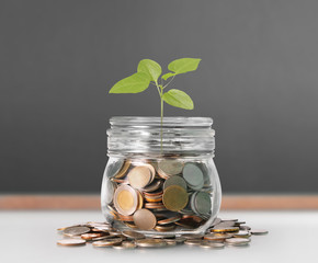 Silver coins in  piggy bank Glass