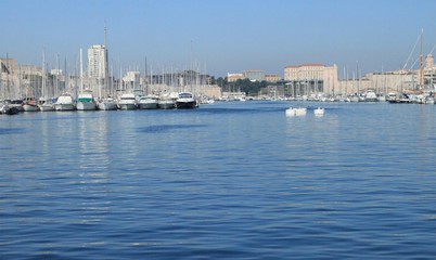 Fototapeta na wymiar Marseille, Morgenstimmung am Alten Hafen