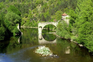 Amazing landscape with a broken bridge on the river Tarn in the Gorges du Tarn, southern France  