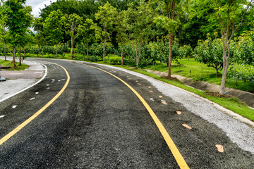 Obraz premium Road in the park