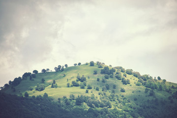 heuvel met wat bomen, de foto heeft een vintage effect