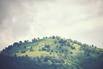 Selbstklebende Fototapete Hügel Hügel mit einigen Bäumen, das Foto hat einen Vintage-Effekt