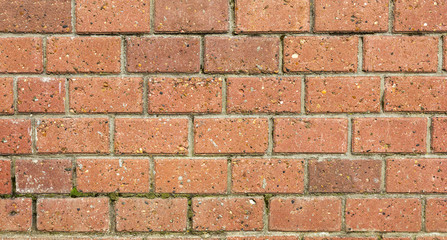 The texture of old brick wall.