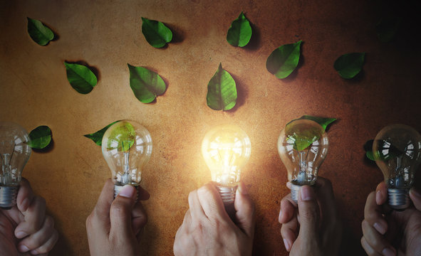 A man hand holds a light bulb with leaves, a concept of natural energy.