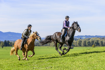 Reiterinnen im dynamischen Galopp