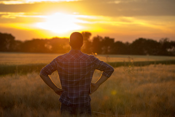 Rear view of farmer in field at sunset