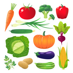 Set of vegetables. Vegetarian food. Isolated on white background. Vector illustration