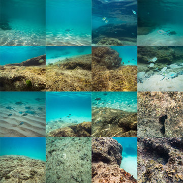 Collage of beautiful underwater sea, ocean landscape photos background