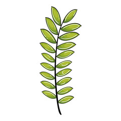 leafs plant decorative icon vector illustration design