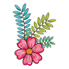 cute flower decorative icon vector illustration design
