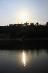 Photo of sunset reflected on lake with forest silhouette