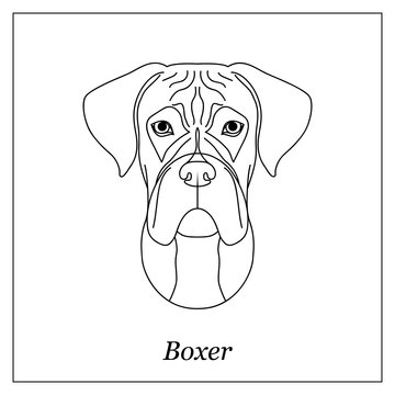 Isolated black outline head of german boxer on white background. Line cartoon breed dog portrait.