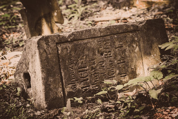 Forgotten old abandoned cemetery in the woods. Broken grave monuments