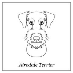 Isolated black outline head of airedale terrier on white background. Line cartoon breed dog portrait.