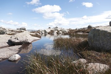 Norwegens Bergweld Hardangervidda 