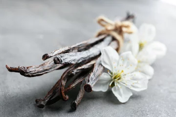 Poster Dried vanilla sticks and flowers on grey textured background, closeup © Africa Studio