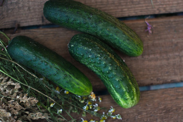 Fresh cucumber from the garden on a wooden background.
