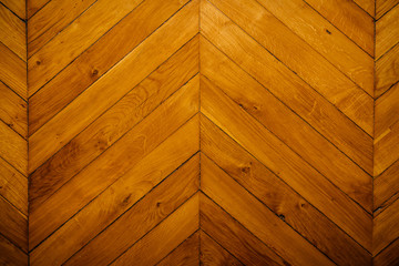Natural light on an old herringbone floor in a French apertment. Top view.