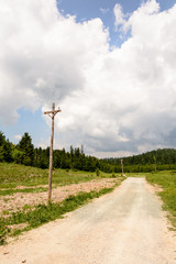 Fototapeta na wymiar trail through a pine forest in Croatia 