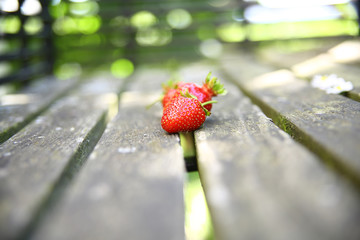 Erdbeeren Beeren Obst Früchte