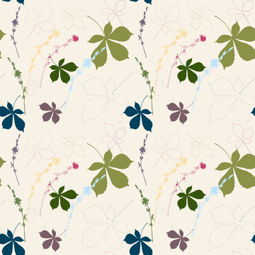 Vector floral seamless pattern  with  hand drawn chicory flowers and chestnut tree leaves.