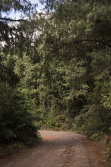 Landschaftsaufnahme in Kolumbien