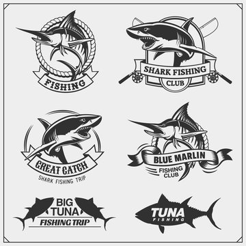 Fishing labels, badges, emblems and design elements. Illustrations of Tuna, Marlin and Shark.