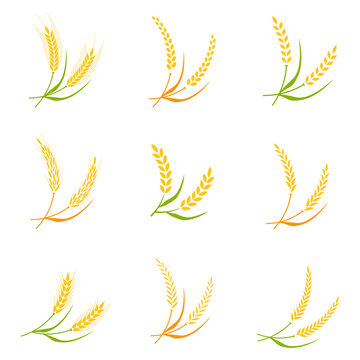 Ear spike logo badge icon wheat isolated vector.